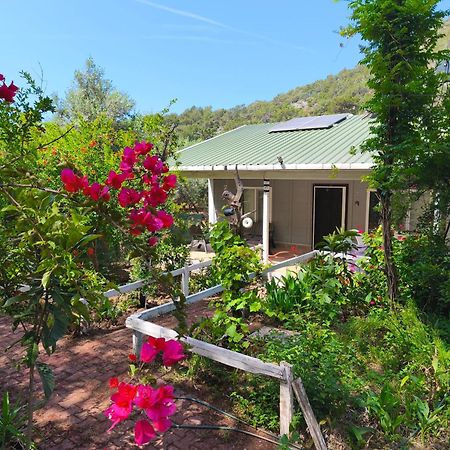 Gelidonia Fenerium Holiday Home Antalya Luaran gambar