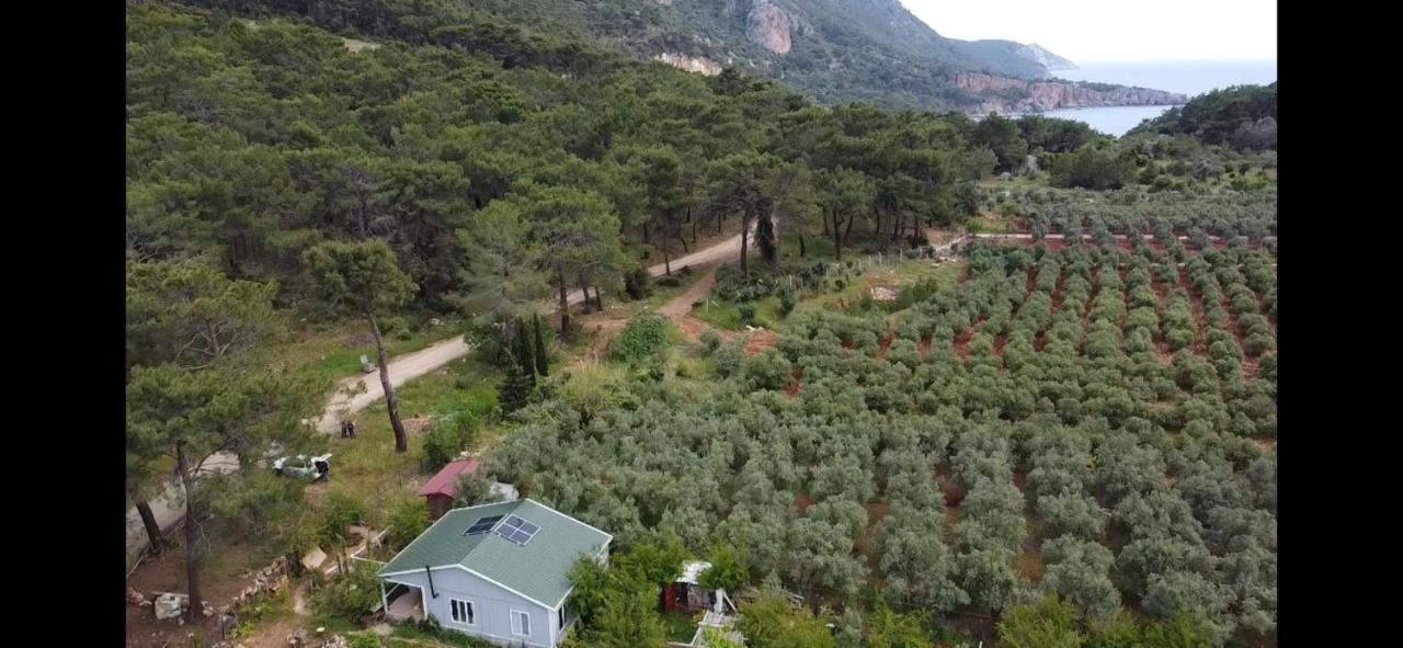 Gelidonia Fenerium Holiday Home Antalya Luaran gambar