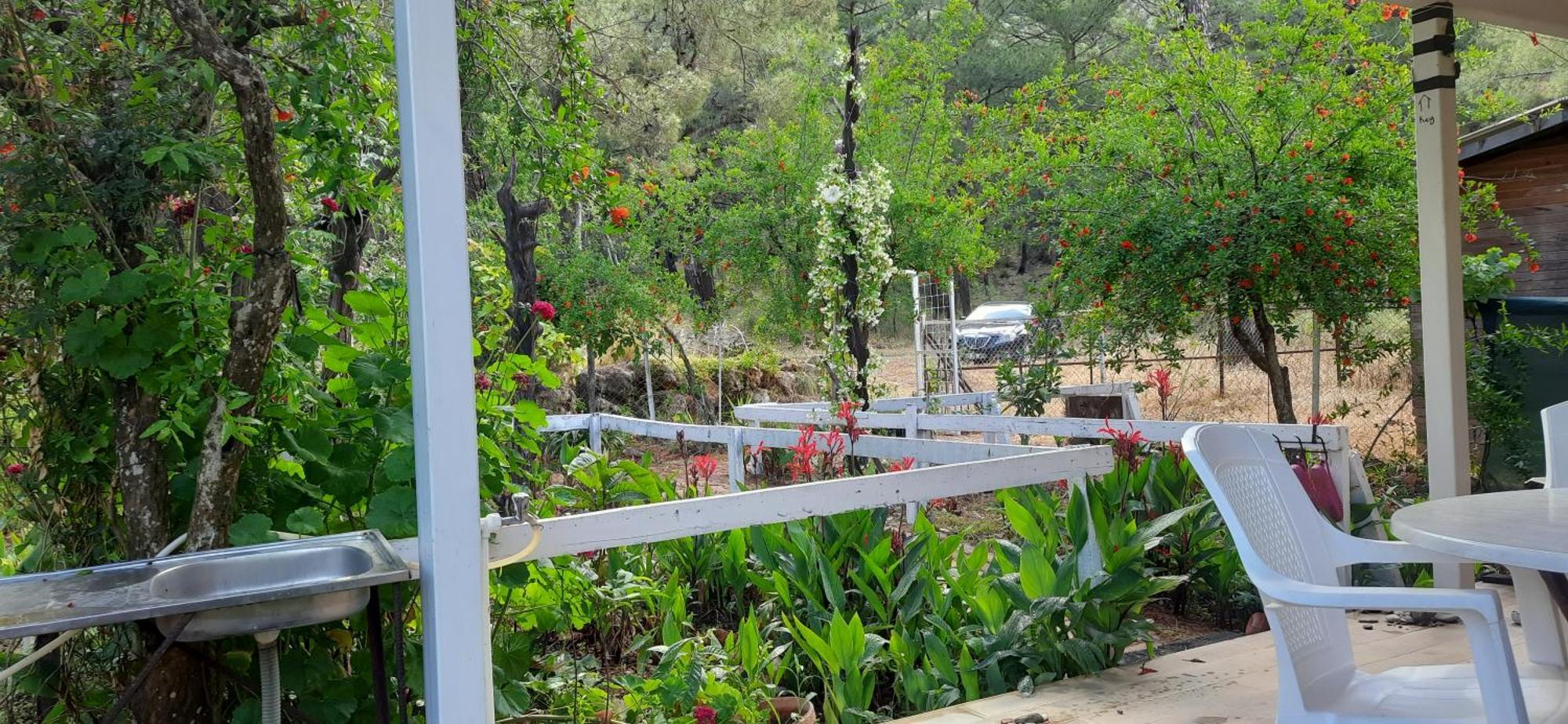 Gelidonia Fenerium Holiday Home Antalya Luaran gambar
