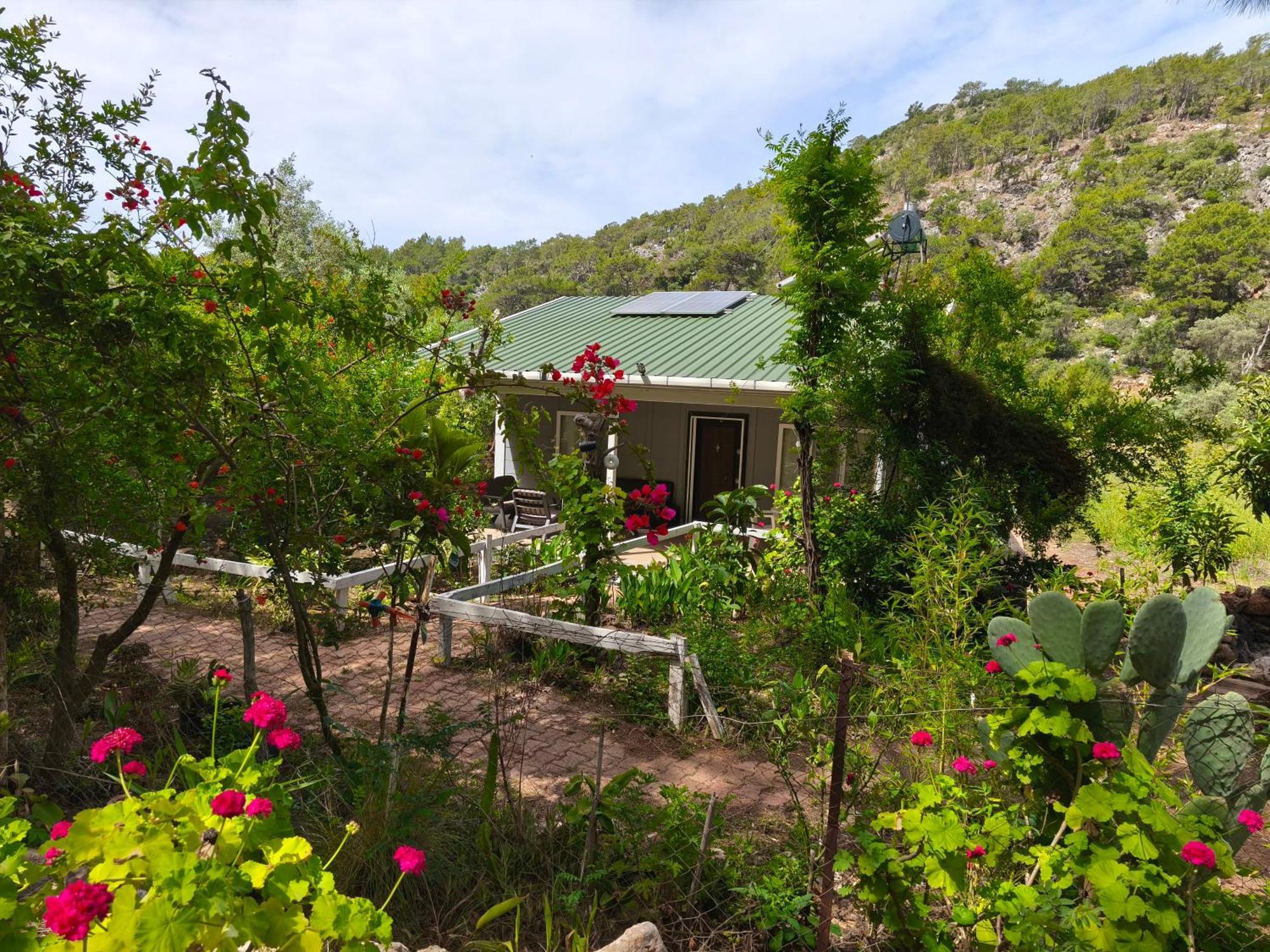 Gelidonia Fenerium Holiday Home Antalya Luaran gambar