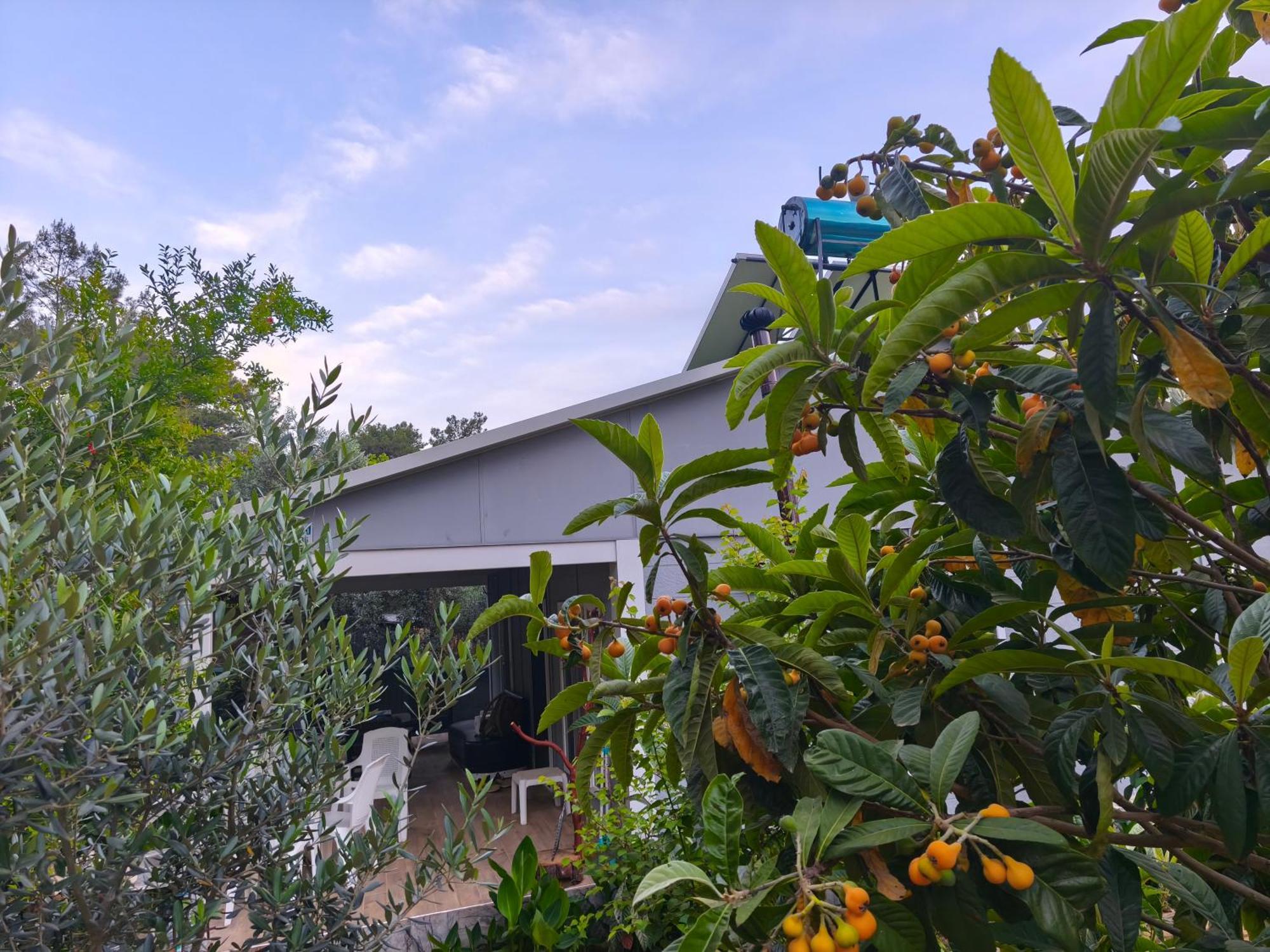 Gelidonia Fenerium Holiday Home Antalya Luaran gambar